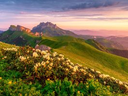 Какие места стоит посетить в горах Адыгеи?