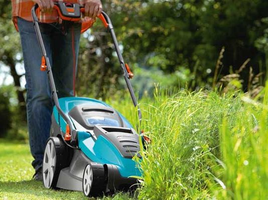 Правила выбора газонокосилки