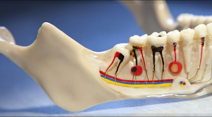 Что такое гемисекция зуба и кому она показана