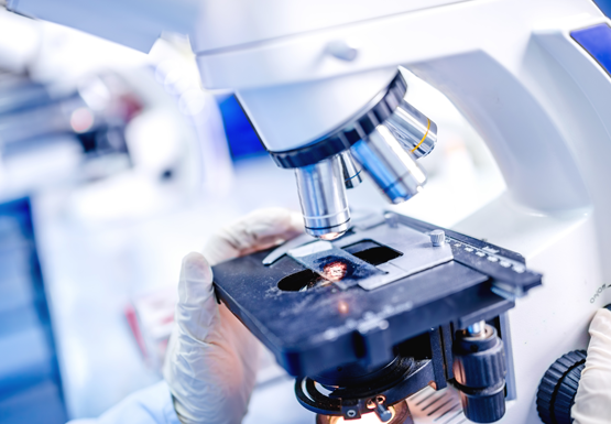 Анализ ЭМИС