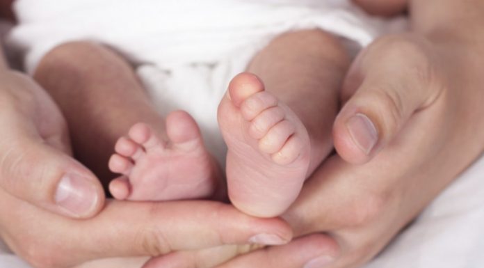 Что входит в ЭКО по омс 2022?