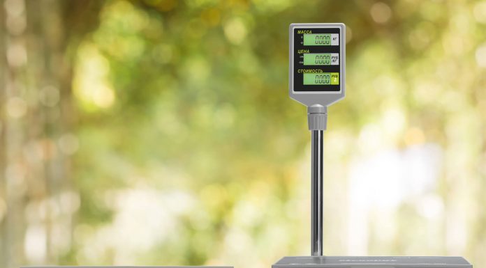 Какие бывают электронные весы?