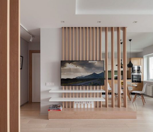 Какие бывают TV перегородки