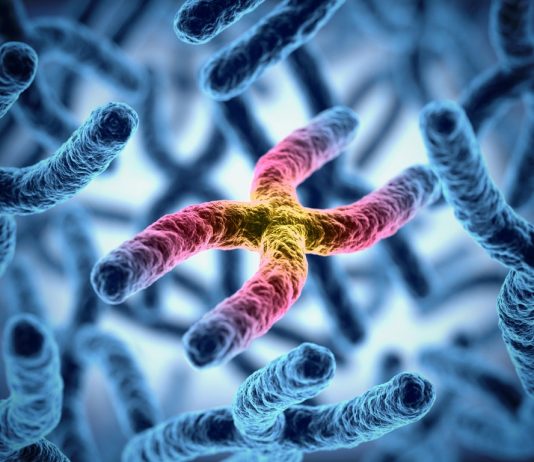 Лечение рака 4 стадии в клиниках Израиля