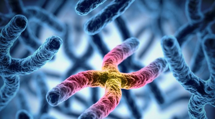 Лечение рака 4 стадии в клиниках Израиля