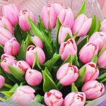 Что символизирует букет тюльпанов