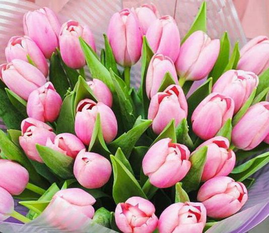 Что символизирует букет тюльпанов