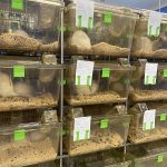 Для чего нужен виварий