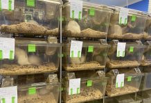 Для чего нужен виварий