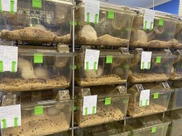 Для чего нужен виварий