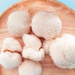 Какой эффект дает экстракт ежовика