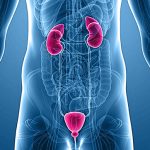 Что такое андрологические заболевания