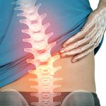 Процесс срастания позвонков: временные рамки и ключевые факторы