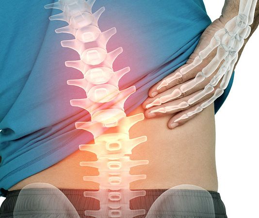 Процесс срастания позвонков: временные рамки и ключевые факторы