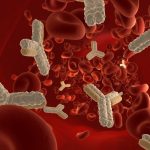 Для чего нужны антигены и антитела?