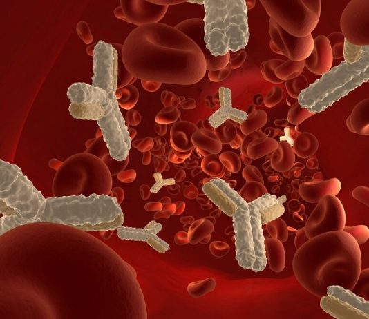 Для чего нужны антигены и антитела?