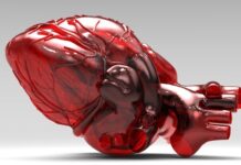 Гипертрофия миокарда: причины, симптомы и лечение