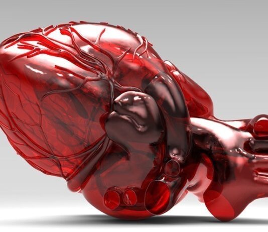 Гипертрофия миокарда: причины, симптомы и лечение