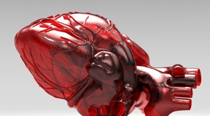 Гипертрофия миокарда: причины, симптомы и лечение