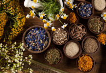 Какие травы помогают очистить лимфу?