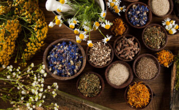 Какие травы помогают очистить лимфу?