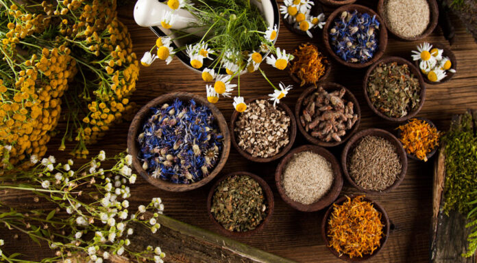 Какие травы помогают очистить лимфу?