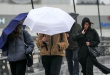 Синоптик спрогнозировал избыток осадков в четырех округах России в ноябре