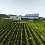 Винодельня как пространство традиций и мастерства