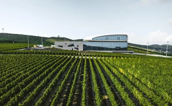 Винодельня как пространство традиций и мастерства