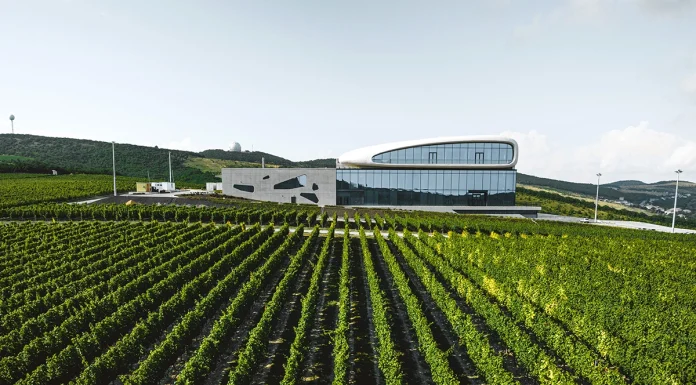 Винодельня как пространство традиций и мастерства