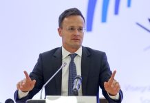 Освобожденные Путиным закарпатские венгры останутся в Венгрии