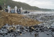 С побережья в Туапсе после пожара на НПЗ вывезли 13,3 тыс. куб. м мазута