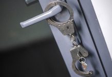 Следствие просит арестовать сына доцента Каменевой по делу о ее убийстве