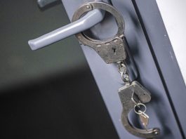 Следствие просит арестовать сына доцента Каменевой по делу о ее убийстве
