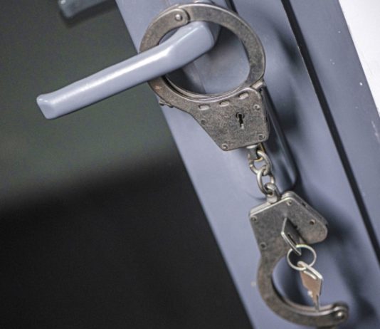 Следствие просит арестовать сына доцента Каменевой по делу о ее убийстве