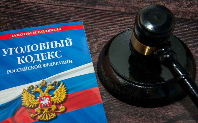 Адвокат Слезкина объяснила, почему нельзя выращивать дома "вьюнок"