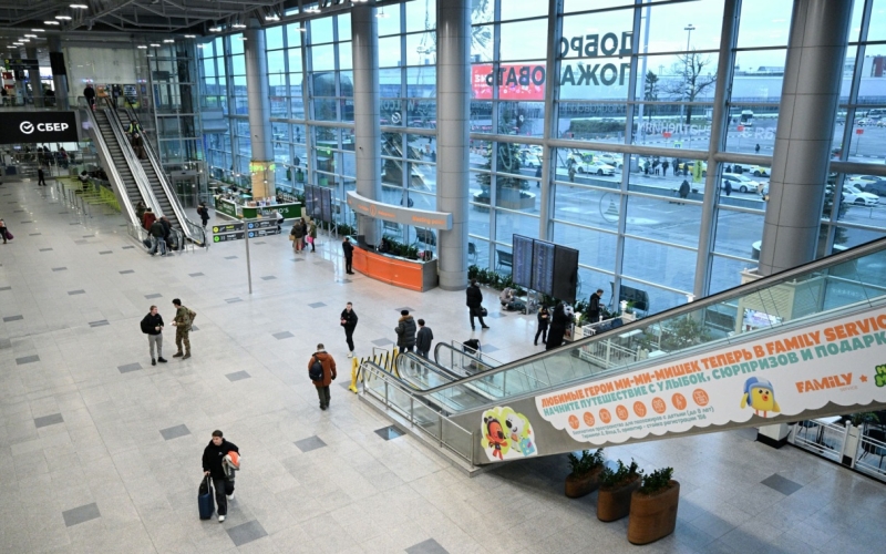 Столичный аэропорт Домодедово начал обслуживание рейсов
